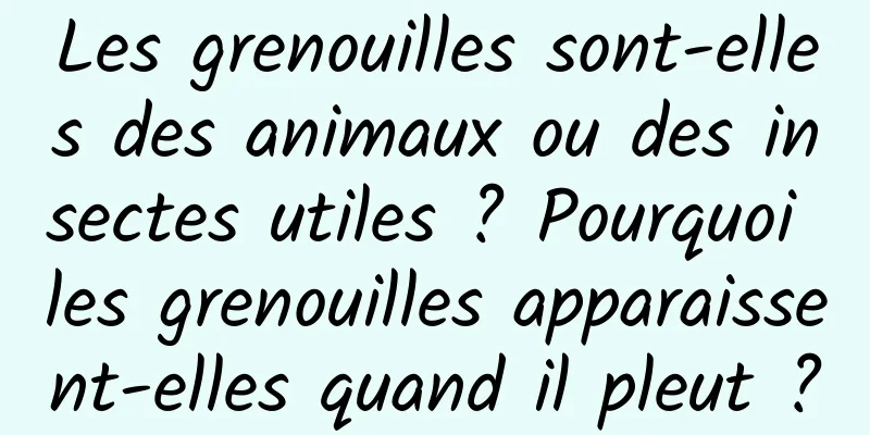 Les grenouilles sont-elles des animaux ou des insectes utiles ? Pourquoi les grenouilles apparaissent-elles quand il pleut ?