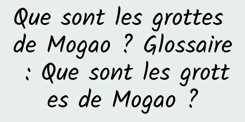 Que sont les grottes de Mogao ? Glossaire : Que sont les grottes de Mogao ?