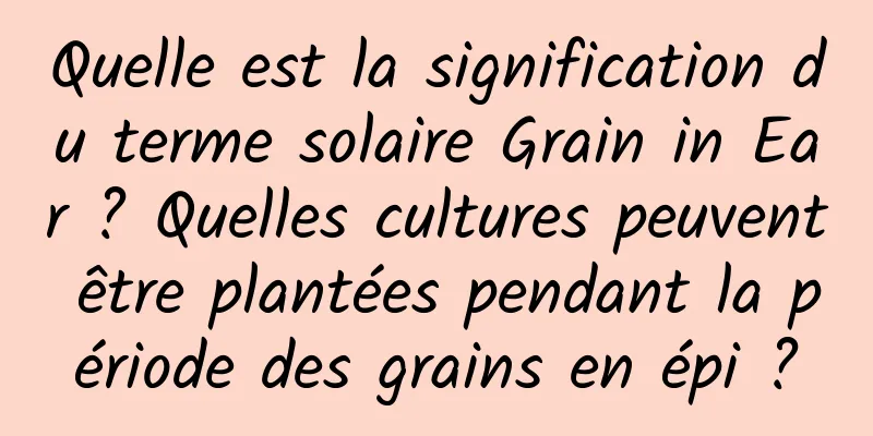 Quelle est la signification du terme solaire Grain in Ear ? Quelles cultures peuvent être plantées pendant la période des grains en épi ?