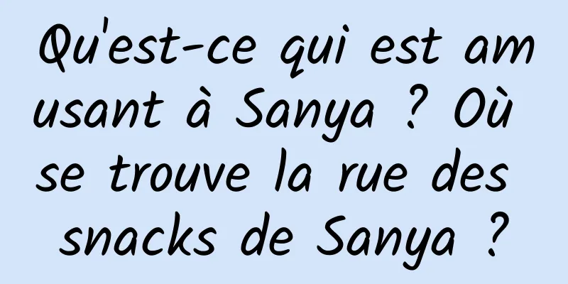 Qu'est-ce qui est amusant à Sanya ? Où se trouve la rue des snacks de Sanya ?