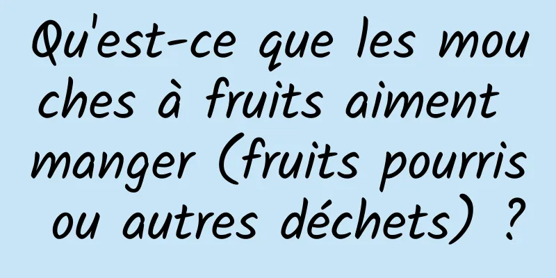 Qu'est-ce que les mouches à fruits aiment manger (fruits pourris ou autres déchets) ?