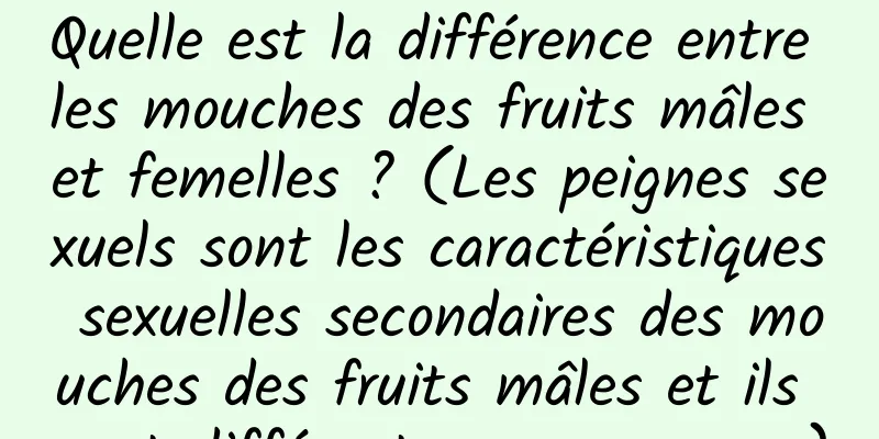 Quelle est la différence entre les mouches des fruits mâles et femelles ? (Les peignes sexuels sont les caractéristiques sexuelles secondaires des mouches des fruits mâles et ils sont différents en apparence)
