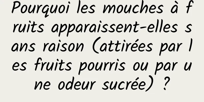 Pourquoi les mouches à fruits apparaissent-elles sans raison (attirées par les fruits pourris ou par une odeur sucrée) ?