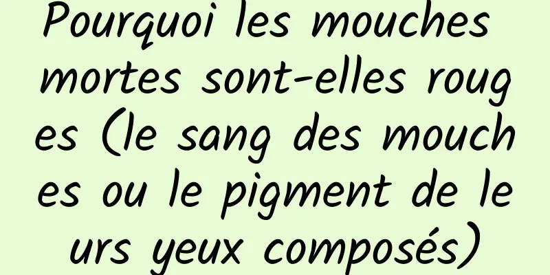 Pourquoi les mouches mortes sont-elles rouges (le sang des mouches ou le pigment de leurs yeux composés)