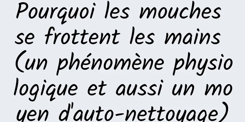 Pourquoi les mouches se frottent les mains (un phénomène physiologique et aussi un moyen d'auto-nettoyage)