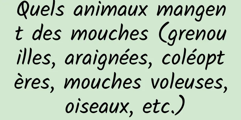 Quels animaux mangent des mouches (grenouilles, araignées, coléoptères, mouches voleuses, oiseaux, etc.)