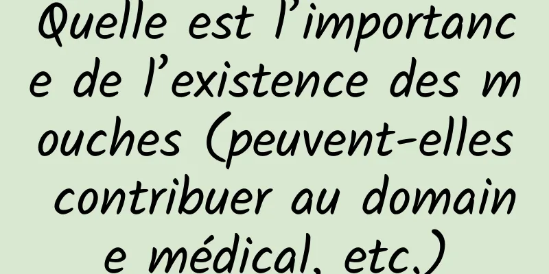 Quelle est l’importance de l’existence des mouches (peuvent-elles contribuer au domaine médical, etc.)