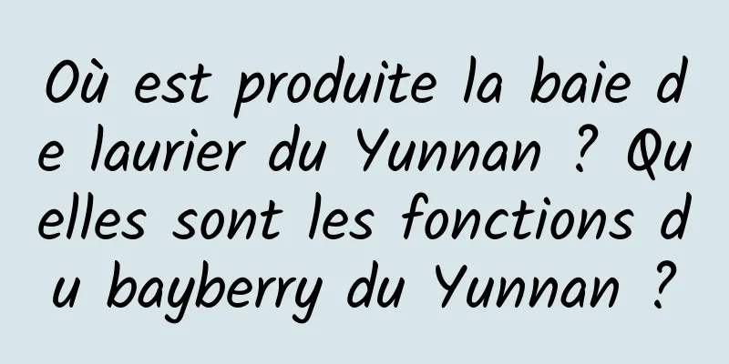 Où est produite la baie de laurier du Yunnan ? Quelles sont les fonctions du bayberry du Yunnan ?