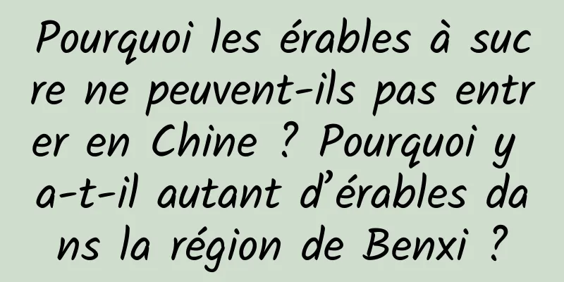 Pourquoi les érables à sucre ne peuvent-ils pas entrer en Chine ? Pourquoi y a-t-il autant d’érables dans la région de Benxi ?