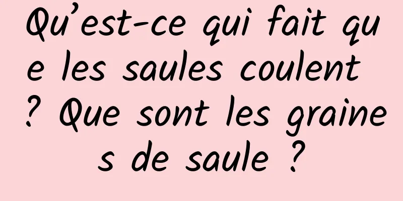 Qu’est-ce qui fait que les saules coulent ? Que sont les graines de saule ?