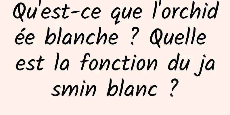 Qu'est-ce que l'orchidée blanche ? Quelle est la fonction du jasmin blanc ?