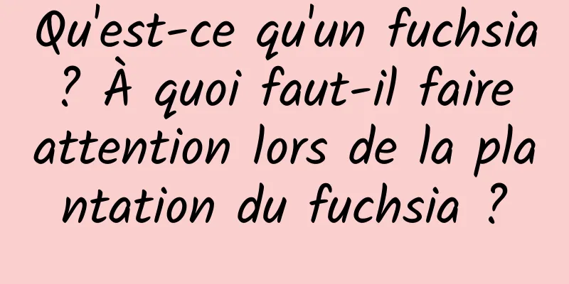 Qu'est-ce qu'un fuchsia ? À quoi faut-il faire attention lors de la plantation du fuchsia ?