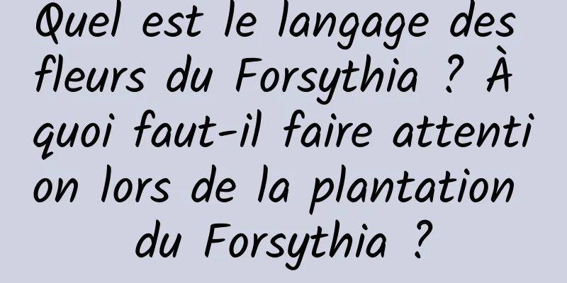 Quel est le langage des fleurs du Forsythia ? À quoi faut-il faire attention lors de la plantation du Forsythia ?
