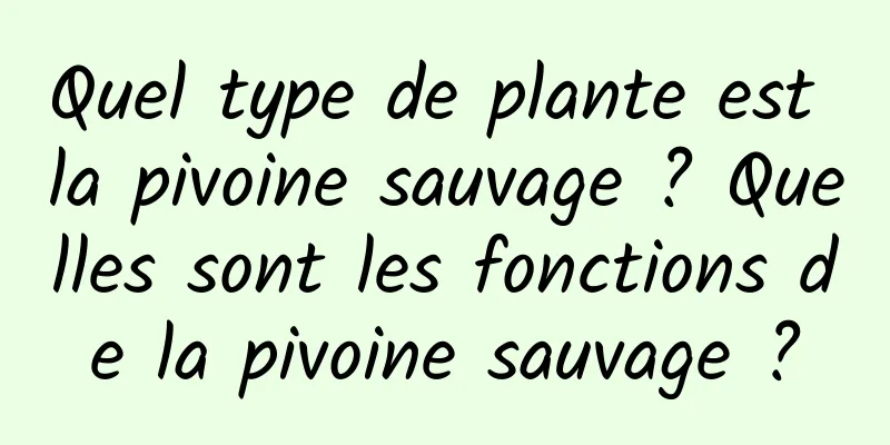 Quel type de plante est la pivoine sauvage ? Quelles sont les fonctions de la pivoine sauvage ?