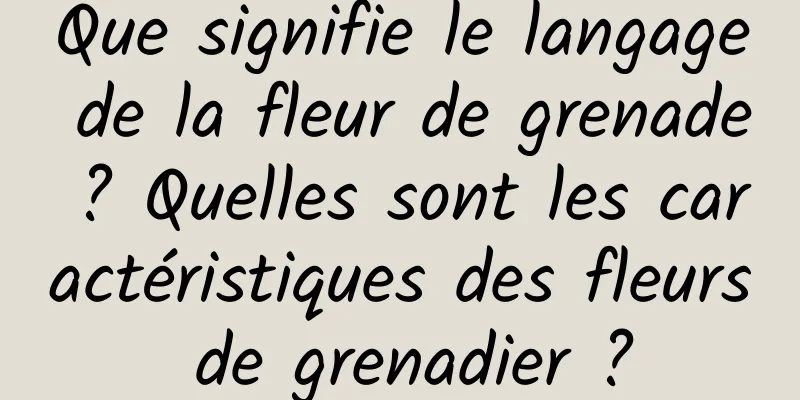 Que signifie le langage de la fleur de grenade ? Quelles sont les caractéristiques des fleurs de grenadier ?