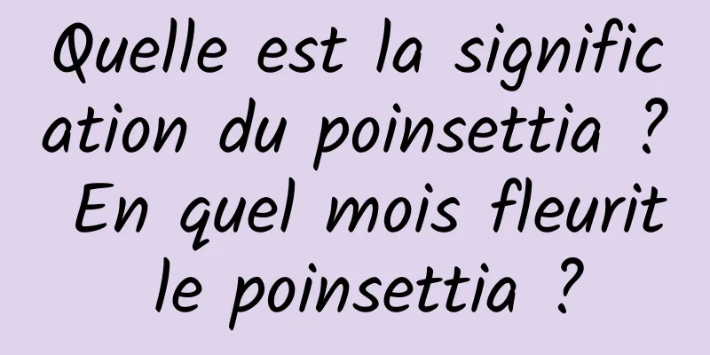 Quelle est la signification du poinsettia ? En quel mois fleurit le poinsettia ?