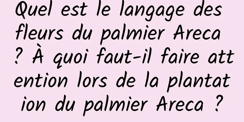 Quel est le langage des fleurs du palmier Areca ? À quoi faut-il faire attention lors de la plantation du palmier Areca ?
