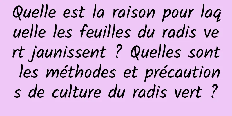 Quelle est la raison pour laquelle les feuilles du radis vert jaunissent ? Quelles sont les méthodes et précautions de culture du radis vert ?
