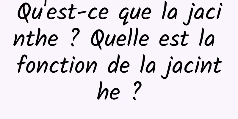Qu'est-ce que la jacinthe ? Quelle est la fonction de la jacinthe ?