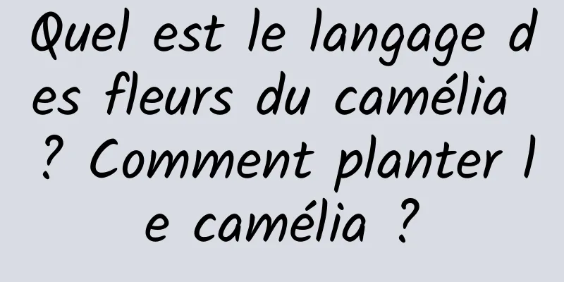 Quel est le langage des fleurs du camélia ? Comment planter le camélia ?