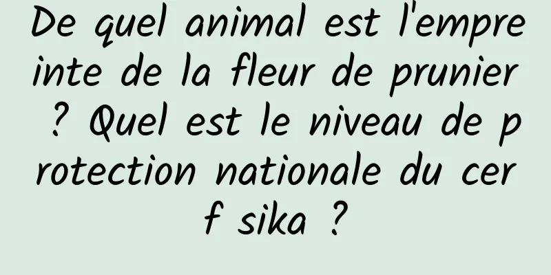 De quel animal est l'empreinte de la fleur de prunier ? Quel est le niveau de protection nationale du cerf sika ?