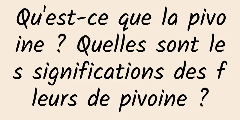 Qu'est-ce que la pivoine ? Quelles sont les significations des fleurs de pivoine ?