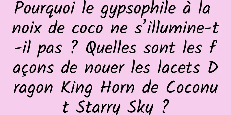Pourquoi le gypsophile à la noix de coco ne s’illumine-t-il pas ? Quelles sont les façons de nouer les lacets Dragon King Horn de Coconut Starry Sky ?