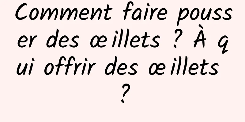 Comment faire pousser des œillets ? À qui offrir des œillets ?