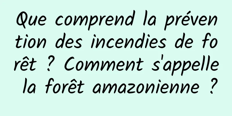 Que comprend la prévention des incendies de forêt ? Comment s'appelle la forêt amazonienne ?