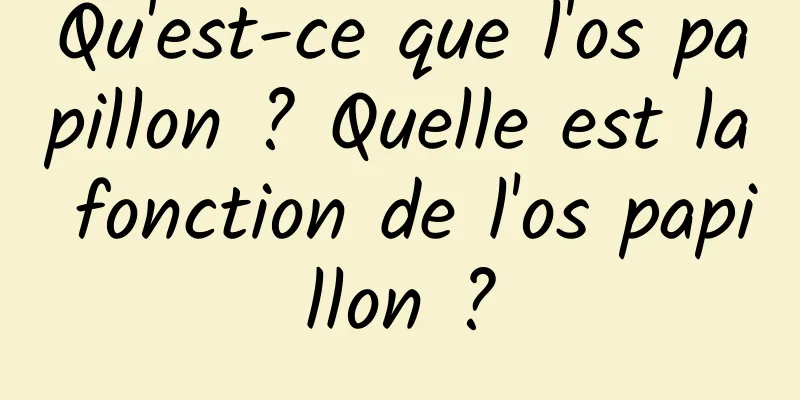 Qu'est-ce que l'os papillon ? Quelle est la fonction de l'os papillon ?