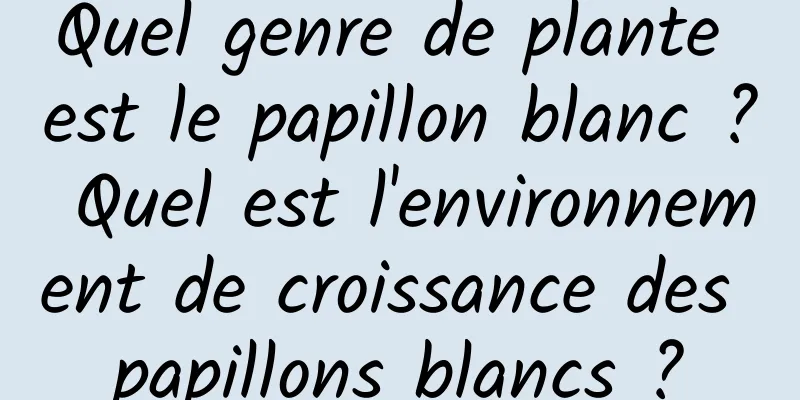 Quel genre de plante est le papillon blanc ? Quel est l'environnement de croissance des papillons blancs ?