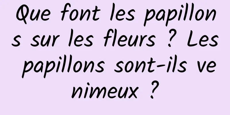 Que font les papillons sur les fleurs ? Les papillons sont-ils venimeux ?