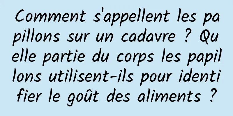 Comment s'appellent les papillons sur un cadavre ? Quelle partie du corps les papillons utilisent-ils pour identifier le goût des aliments ?
