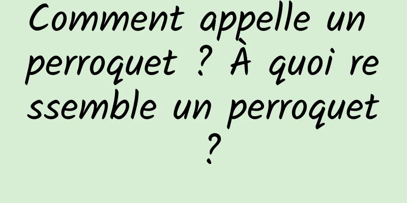 Comment appelle un perroquet ? À quoi ressemble un perroquet ?