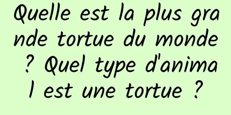 Quelle est la plus grande tortue du monde ? Quel type d'animal est une tortue ?