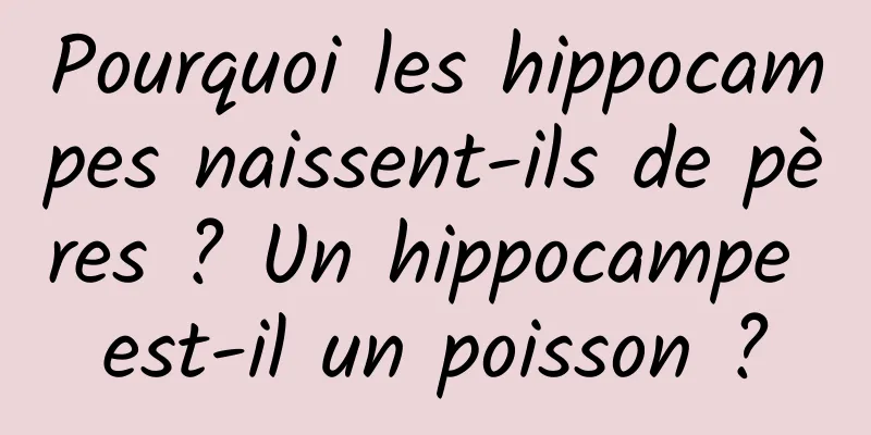 Pourquoi les hippocampes naissent-ils de pères ? Un hippocampe est-il un poisson ?