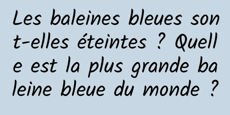 Les baleines bleues sont-elles éteintes ? Quelle est la plus grande baleine bleue du monde ?