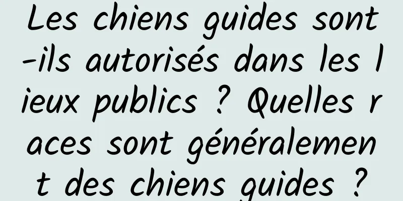 Les chiens guides sont-ils autorisés dans les lieux publics ? Quelles races sont généralement des chiens guides ?