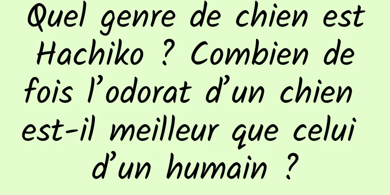 Quel genre de chien est Hachiko ? Combien de fois l’odorat d’un chien est-il meilleur que celui d’un humain ?
