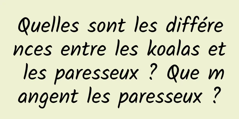 Quelles sont les différences entre les koalas et les paresseux ? Que mangent les paresseux ?