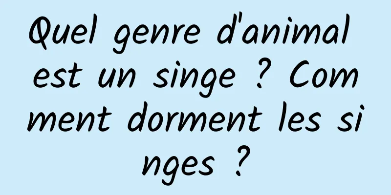 Quel genre d'animal est un singe ? Comment dorment les singes ?