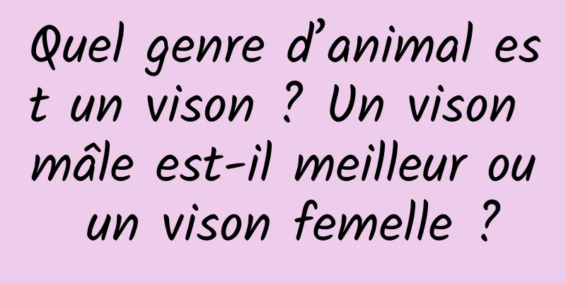 Quel genre d’animal est un vison ? Un vison mâle est-il meilleur ou un vison femelle ?