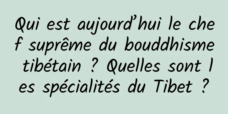 Qui est aujourd’hui le chef suprême du bouddhisme tibétain ? Quelles sont les spécialités du Tibet ?