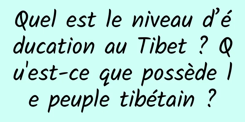 Quel est le niveau d’éducation au Tibet ? Qu'est-ce que possède le peuple tibétain ?