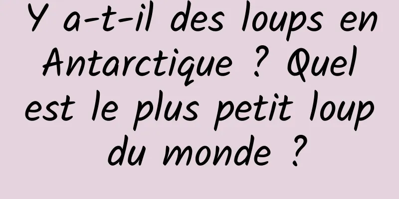 Y a-t-il des loups en Antarctique ? Quel est le plus petit loup du monde ?