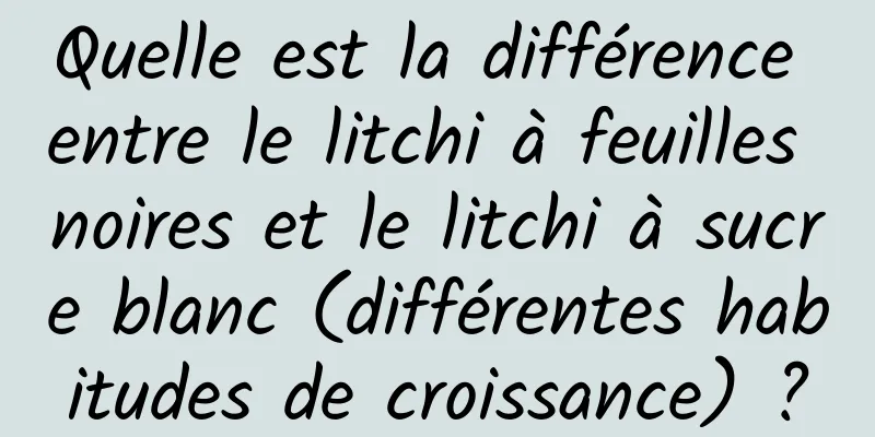 Quelle est la différence entre le litchi à feuilles noires et le litchi à sucre blanc (différentes habitudes de croissance) ?