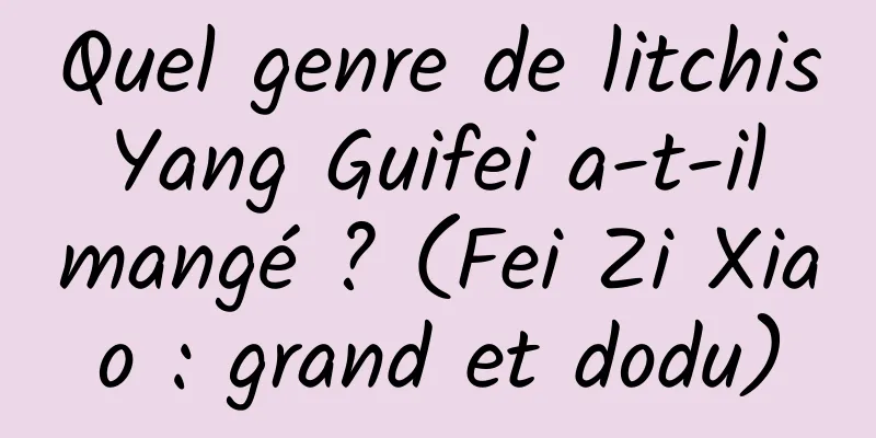Quel genre de litchis Yang Guifei a-t-il mangé ? (Fei Zi Xiao : grand et dodu)