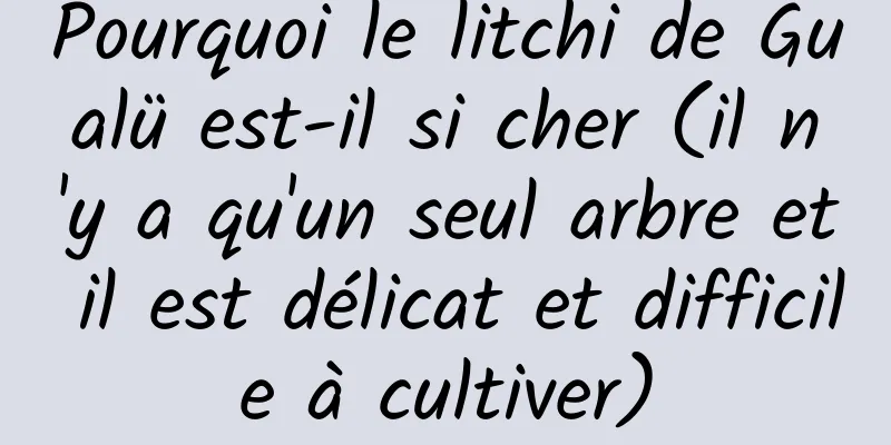 Pourquoi le litchi de Gualü est-il si cher (il n'y a qu'un seul arbre et il est délicat et difficile à cultiver)