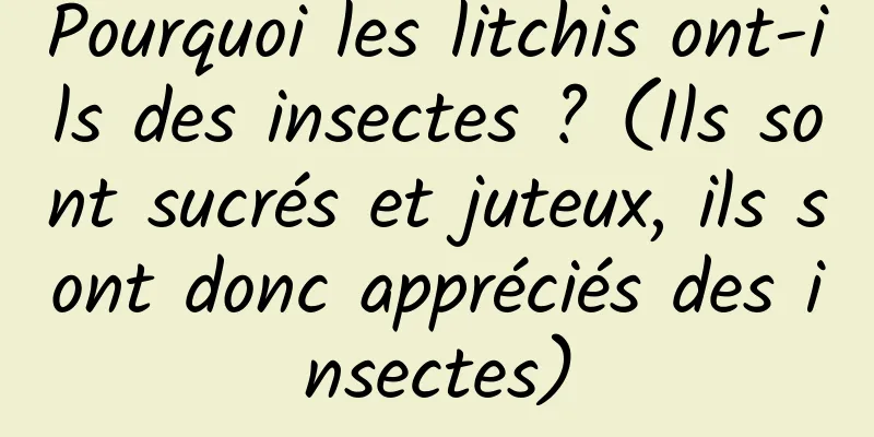 Pourquoi les litchis ont-ils des insectes ? (Ils sont sucrés et juteux, ils sont donc appréciés des insectes)