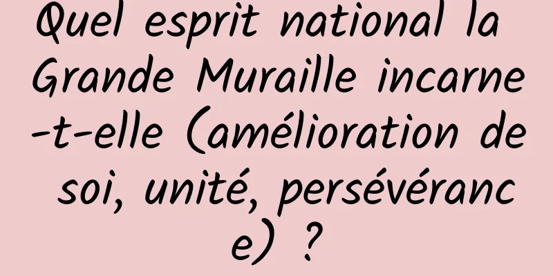 Quel esprit national la Grande Muraille incarne-t-elle (amélioration de soi, unité, persévérance) ?